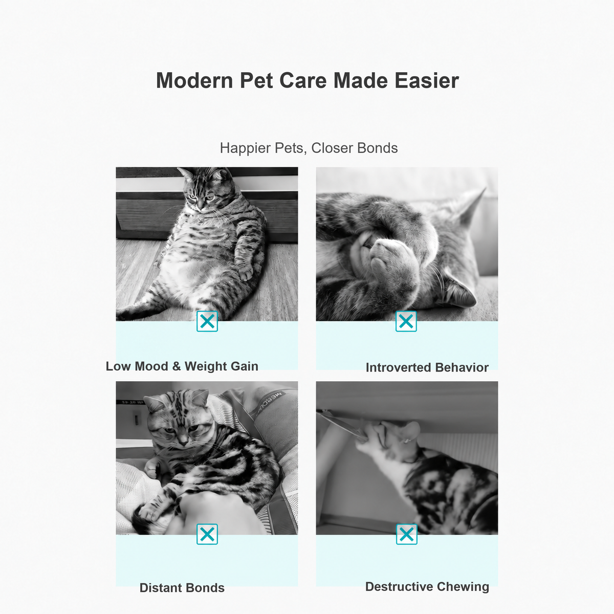 GiGwi interactive cat toy benefits for pet care and play [Gallery: Shared]