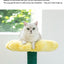 Original | ZEZE Barbie Potted Flower Cat Condo | gallery image 03 | source preserved