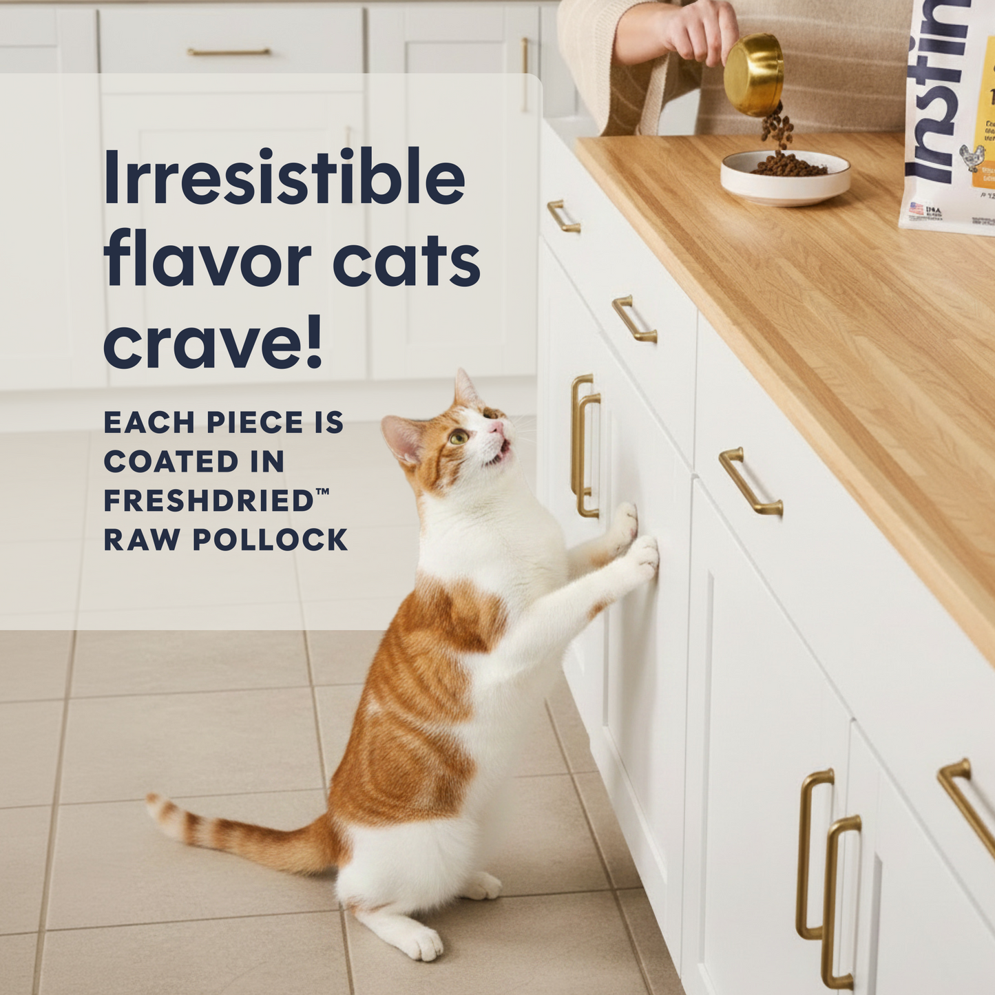 Instinct Original Salmon cat food official product detail