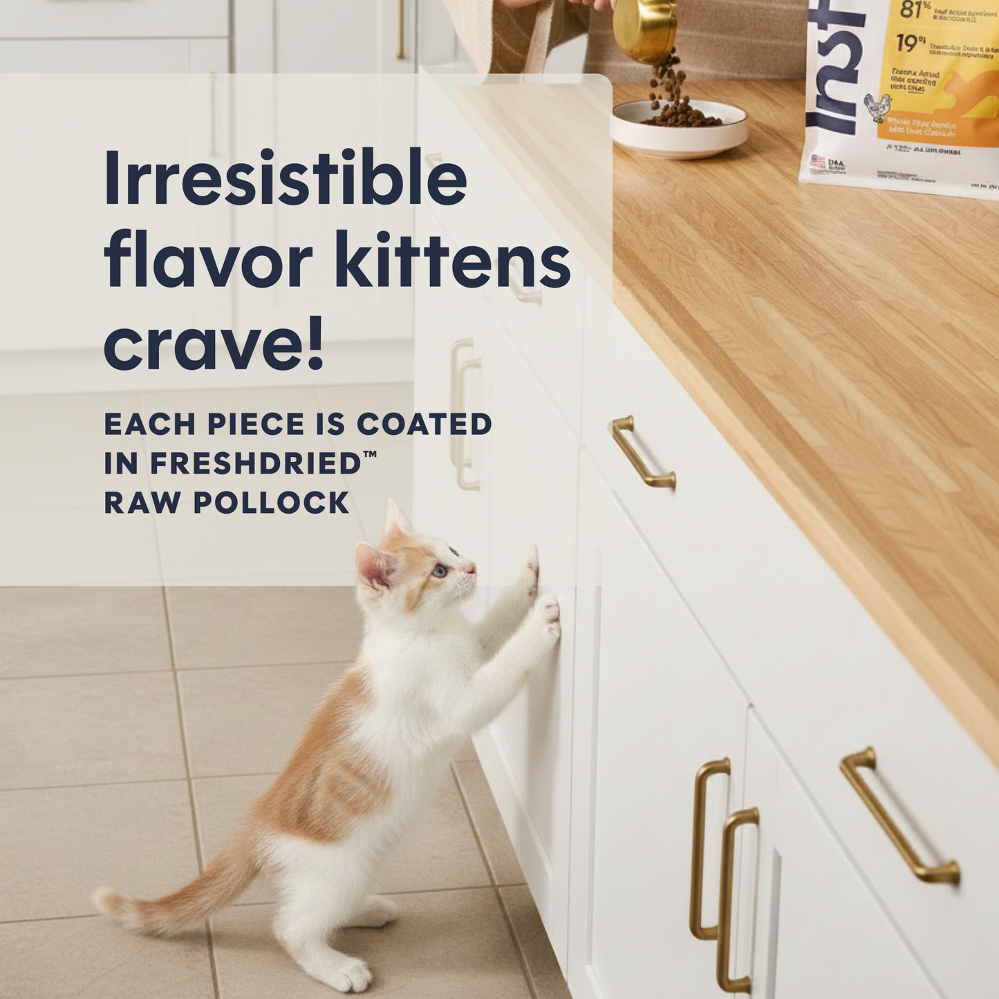 Instinct Original Kitten Chicken cat food official product detail