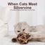 Cat biting a silvervine catnip ball toy — When Cats Meet Silvervine