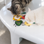 Two cats playing with food-shaped matatabi cat dental toys
