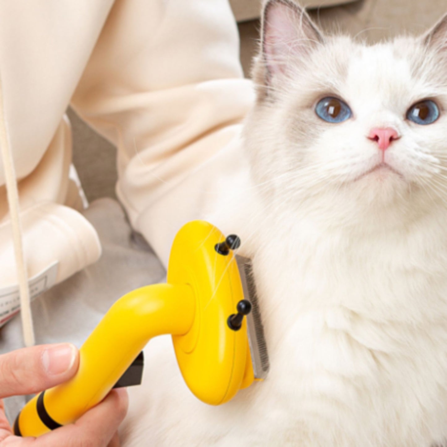 Aiwo yellow bee pet brush used on a cat coat [Gallery: Shared]