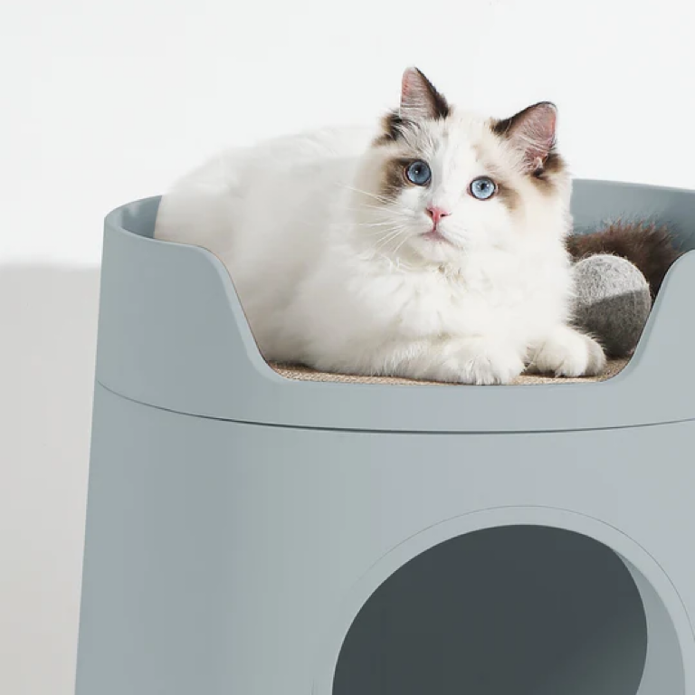 MAYITWILL Cat Castle Semi-Closed Litter Box - Morandi Green source media 4 [Gallery: Morandi Green]