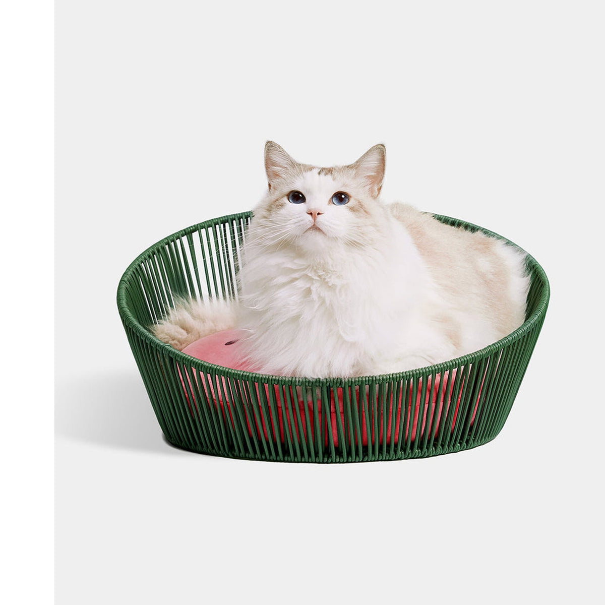 White cat resting in VETRESKA watermelon rattan pet bed, corrected effective square composition [Comparison: corrected after original 4, 2026-09-10]