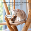 GiGwi cat toy with lifelike design and natural hunting detail [Gallery: Shared]