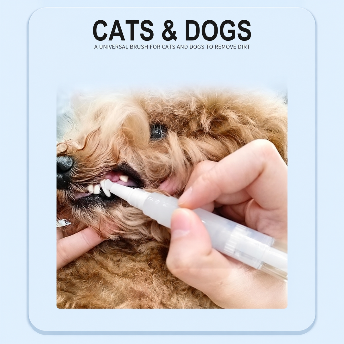 Pet dental gel applicator for cats and dogs