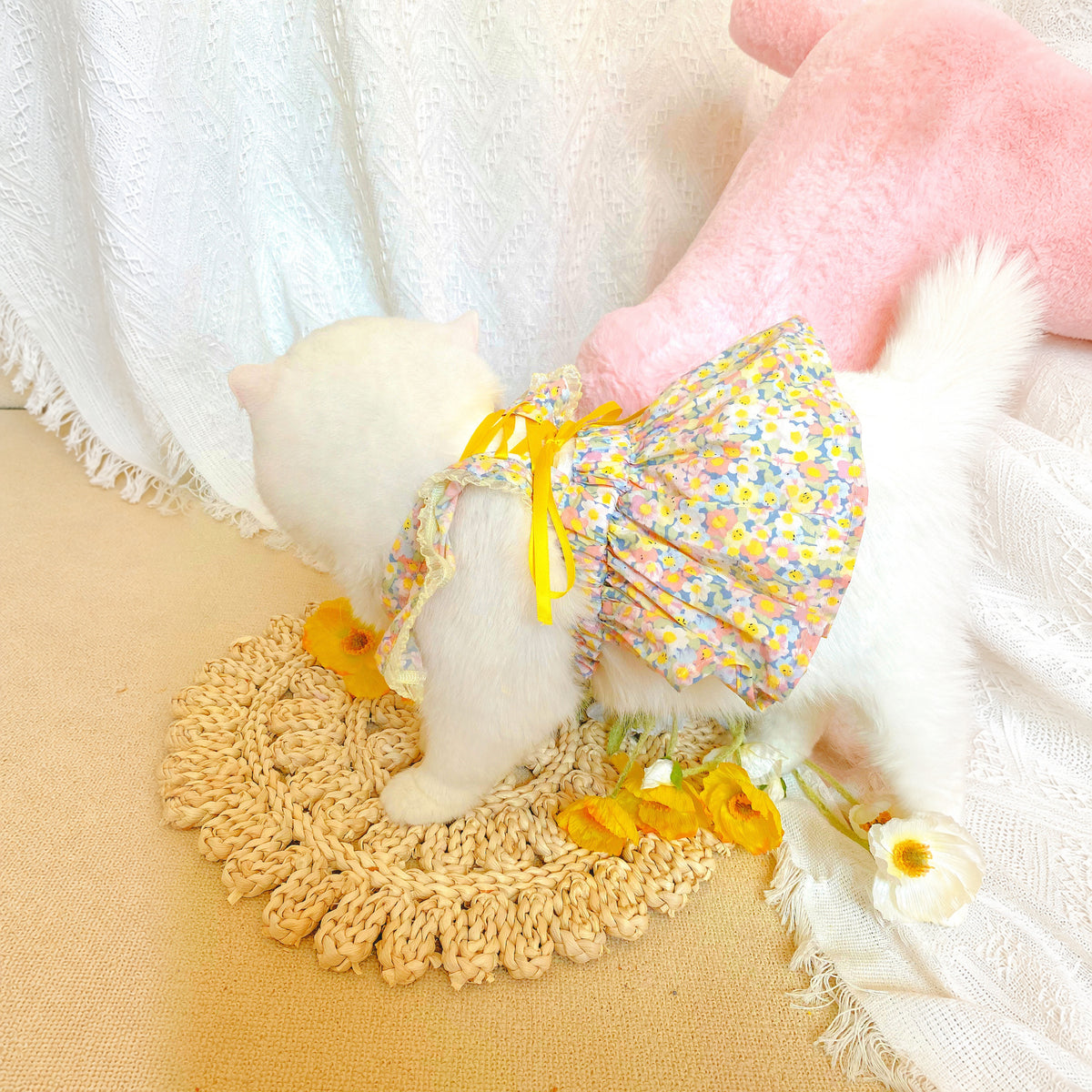 Effective-expanded lifestyle image 4 for Monin & B1GGERFISH floral pet dress
