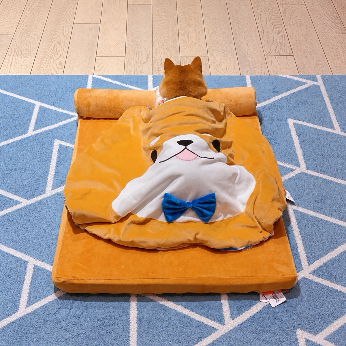 Navy Style Pet Blanket effective 1:1 continuous background outpaint revision v2, source image 4, no crop