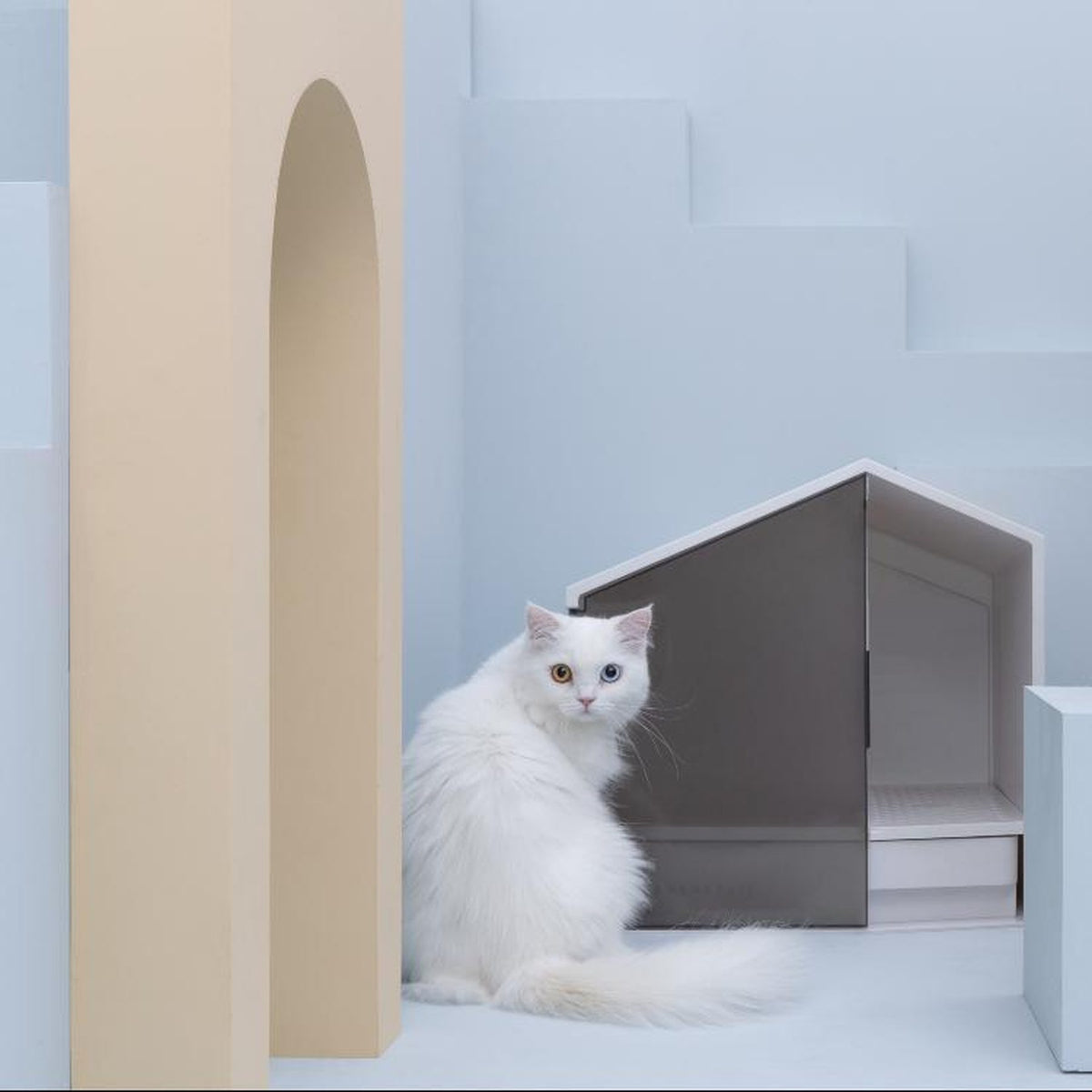 Furrytail Small House cat litter box, image 4, product detail or lifestyle view [Gallery: Shared]
