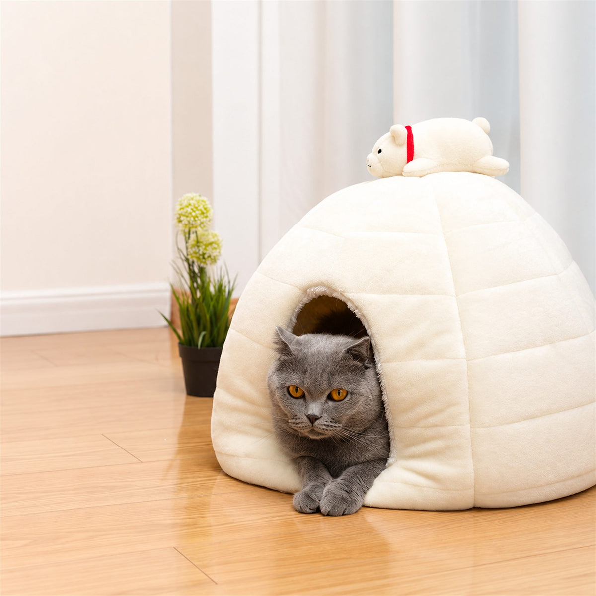 Gray cat relaxing at the entrance of a white polar bear igloo cat bed
