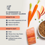 Instinct Original Salmon cat food official product detail