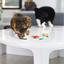 Cat playing with food-shaped matatabi cat dental toys on a table