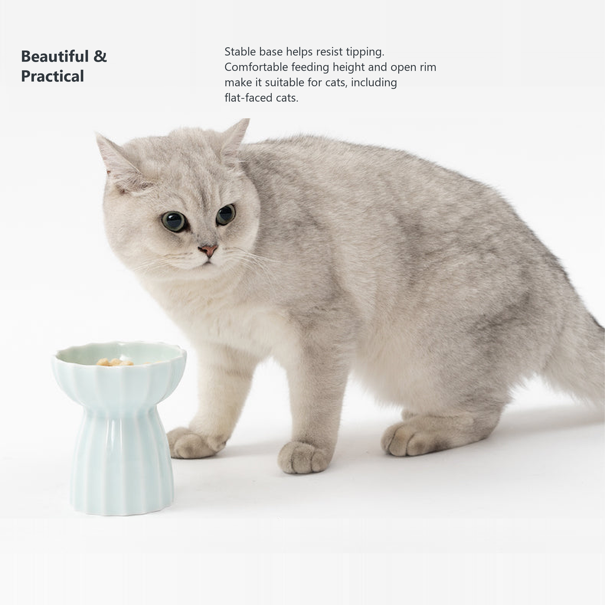 PIDAN Cherish elevated cat bowl stable base comfortable feeding height open rim detail