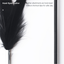 PIDAN Peacock Feather Cat Teaser Wand with Wooden Handle | English translated feather detail 04 | 2048 square | v6