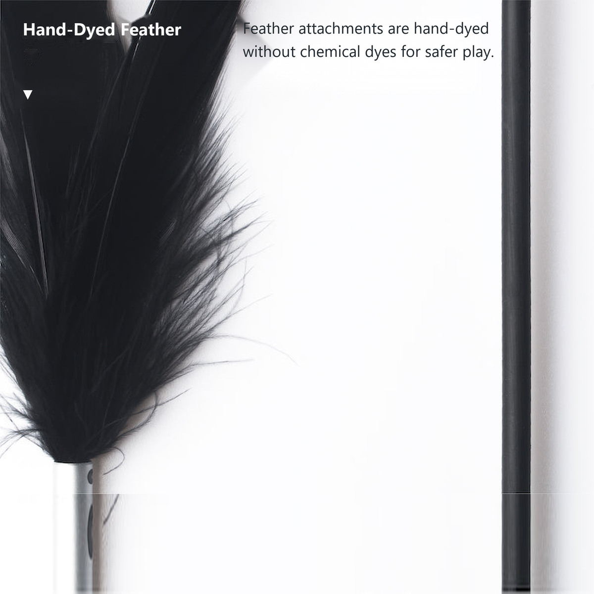 PIDAN Peacock Feather Cat Teaser Wand with Wooden Handle | English translated feather detail 04 | 2048 square | v6