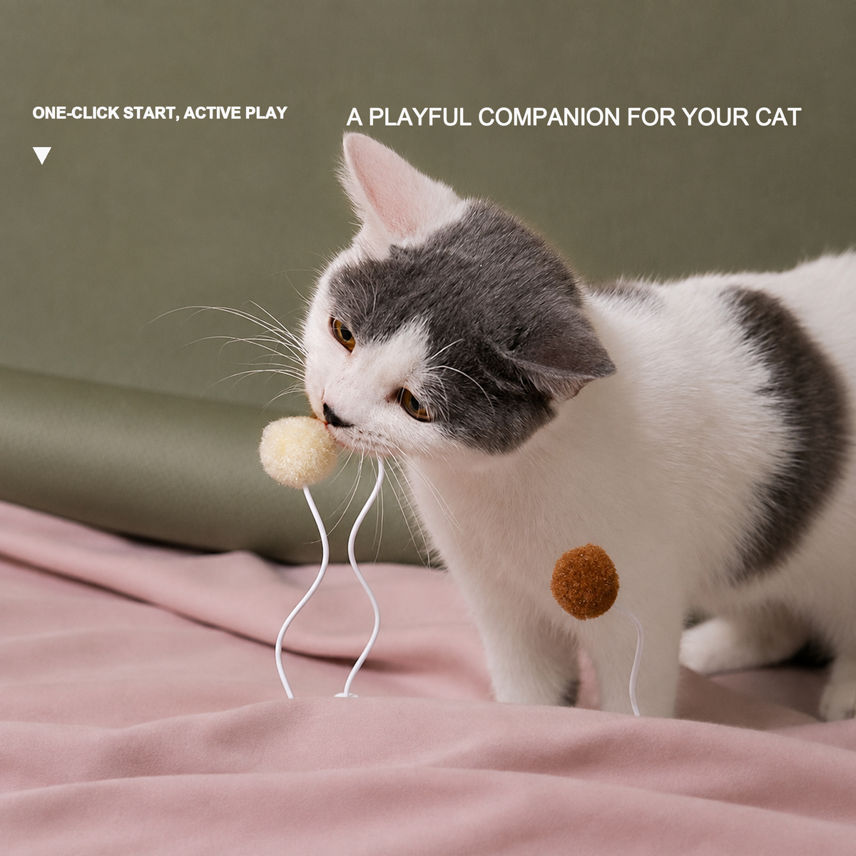 PIDAN Balloon Tumbler Interactive Cat Toy | English translated square detail 04 | ACTIVE PLAY