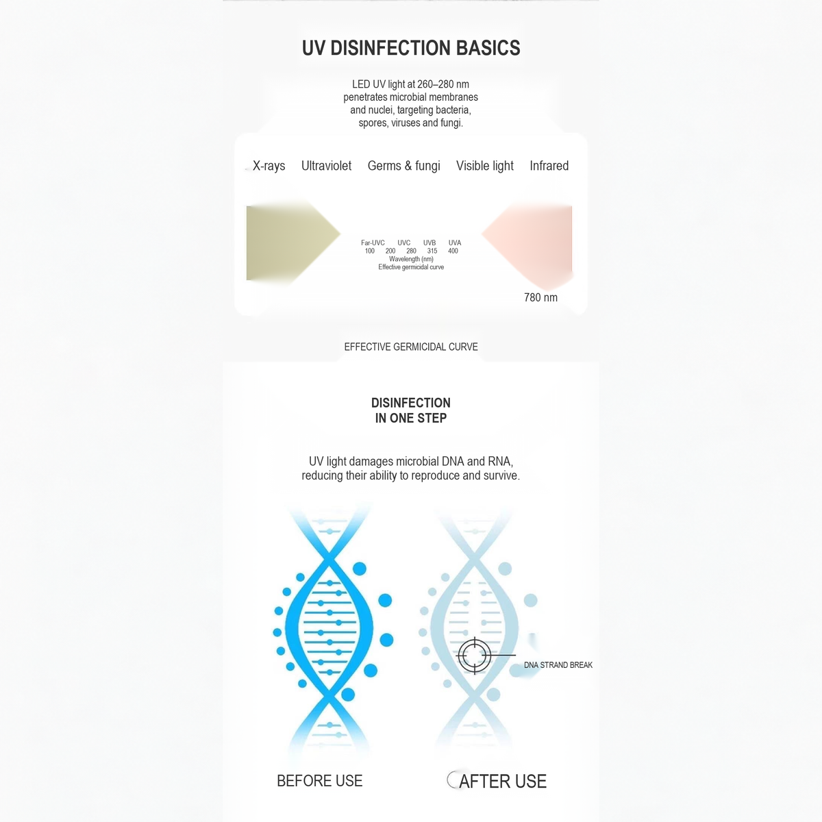 UV-C disinfection wavelength diagram showing the 260 to 280 nanometre range, English translated square detail image