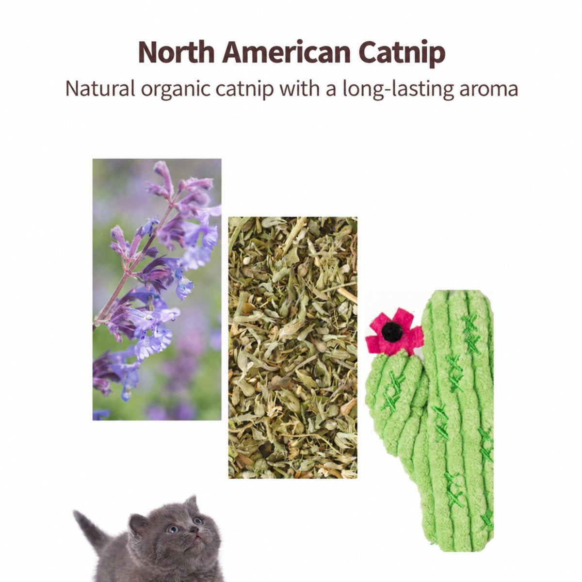 FOFOS cat scratcher attachment with plush toy detail