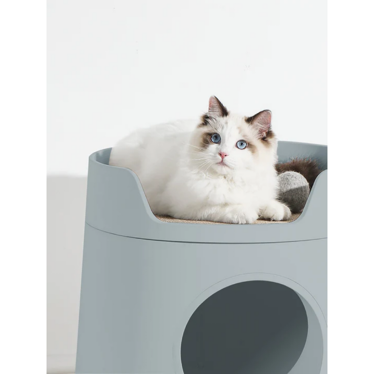 MAYITWILL Cat Castle Semi-Closed Litter Box - Morandi Green source media 5 [Gallery: Morandi Green]