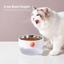 MAYITWILL CLOWN CAT BOWL | 9 cm bowl height | translated description | complete square | 20260921