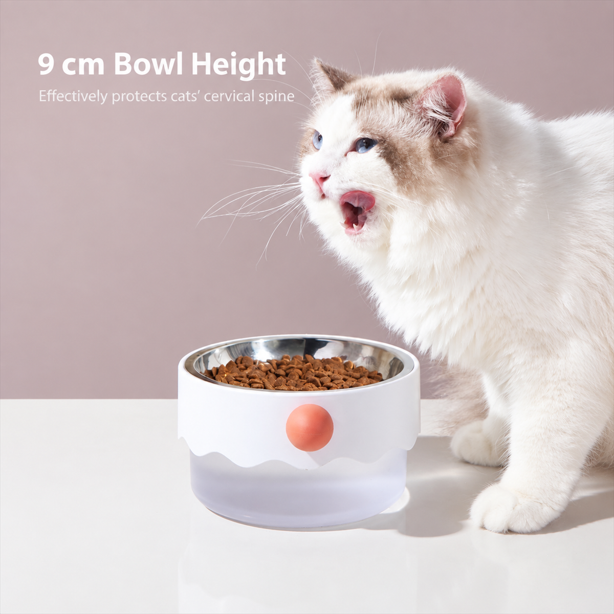 MAYITWILL CLOWN CAT BOWL | 9 cm bowl height | translated description | complete square | 20260921