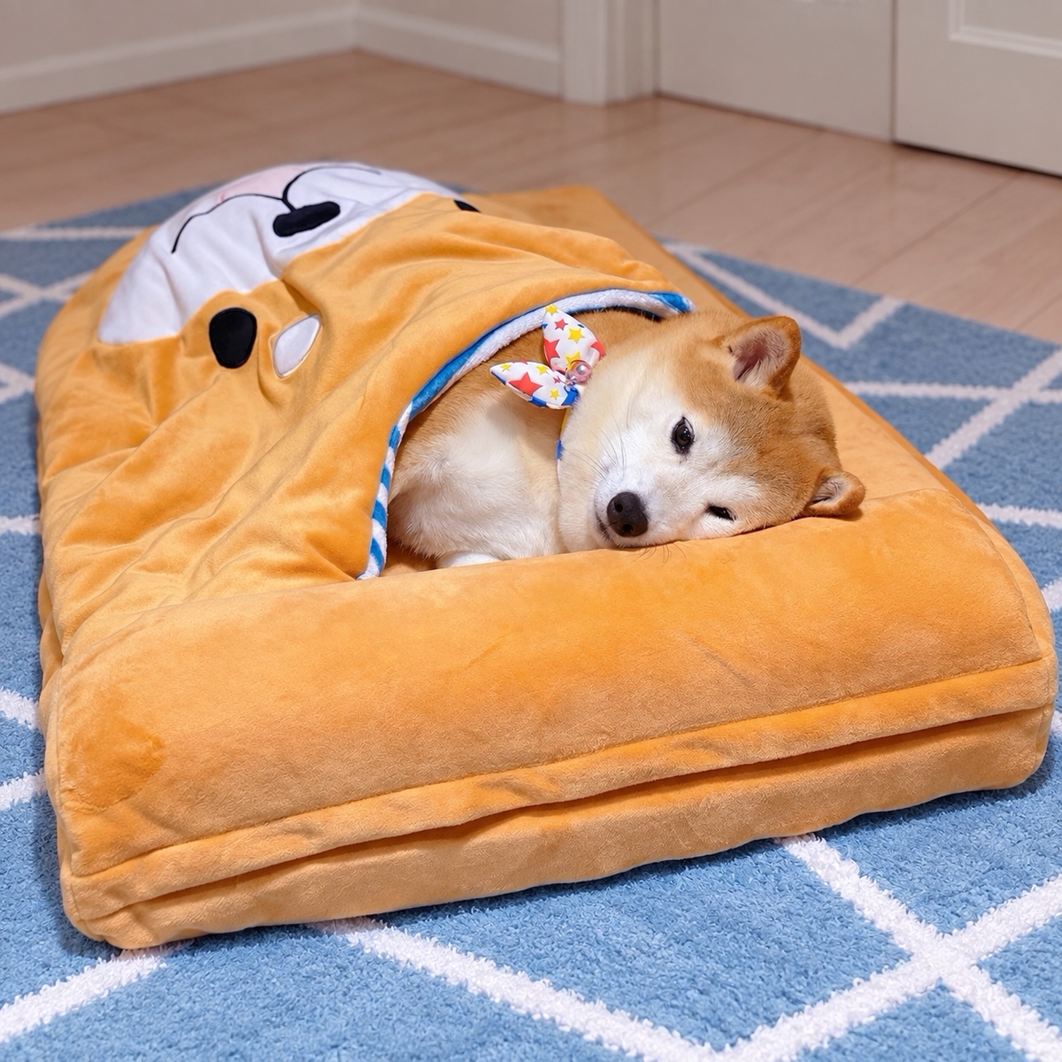 Navy Style Pet Blanket effective 1:1 continuous background outpaint revision v2, source image 5, no crop