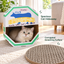 Misspet Ice-cream Box Cat Scratcher - spacious hideaway and corrugated scratching surface