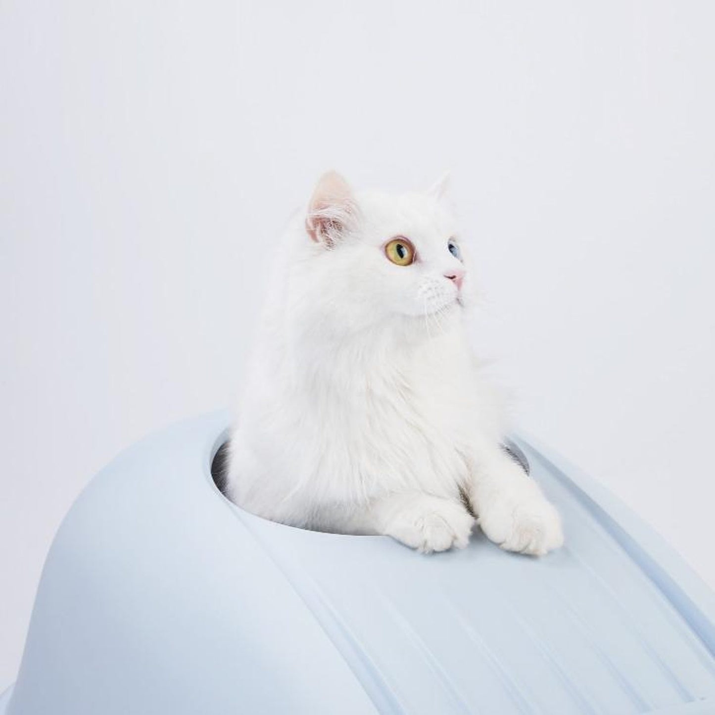 Furrytail Whale-Shaped cat litter box, image 5, product detail or lifestyle view [Gallery: Shared]