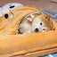Navy Style Pet Blanket original source image 5 [recovered-original]