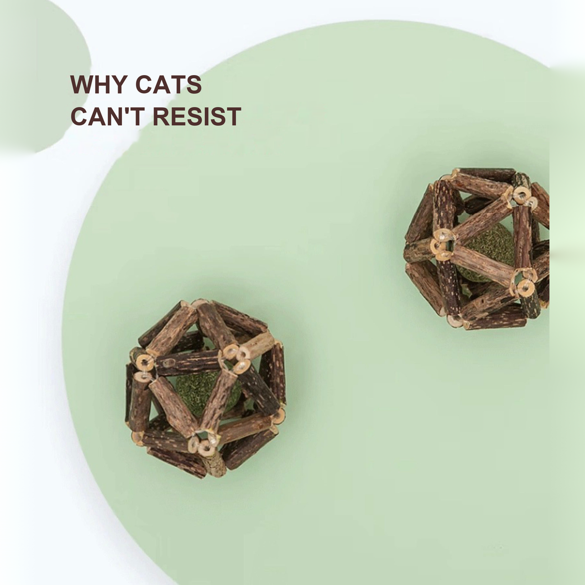 Silvervine catnip ball toys on a green background — Why Cats Cannot Resist