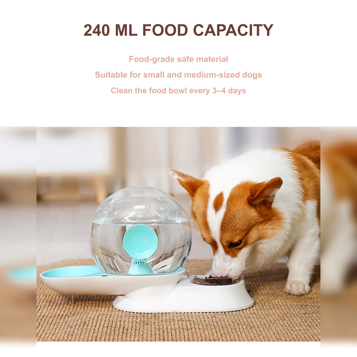 AIWO aqua pet water fountain and feeder with the translated English version of source image 24 [Translated source image]