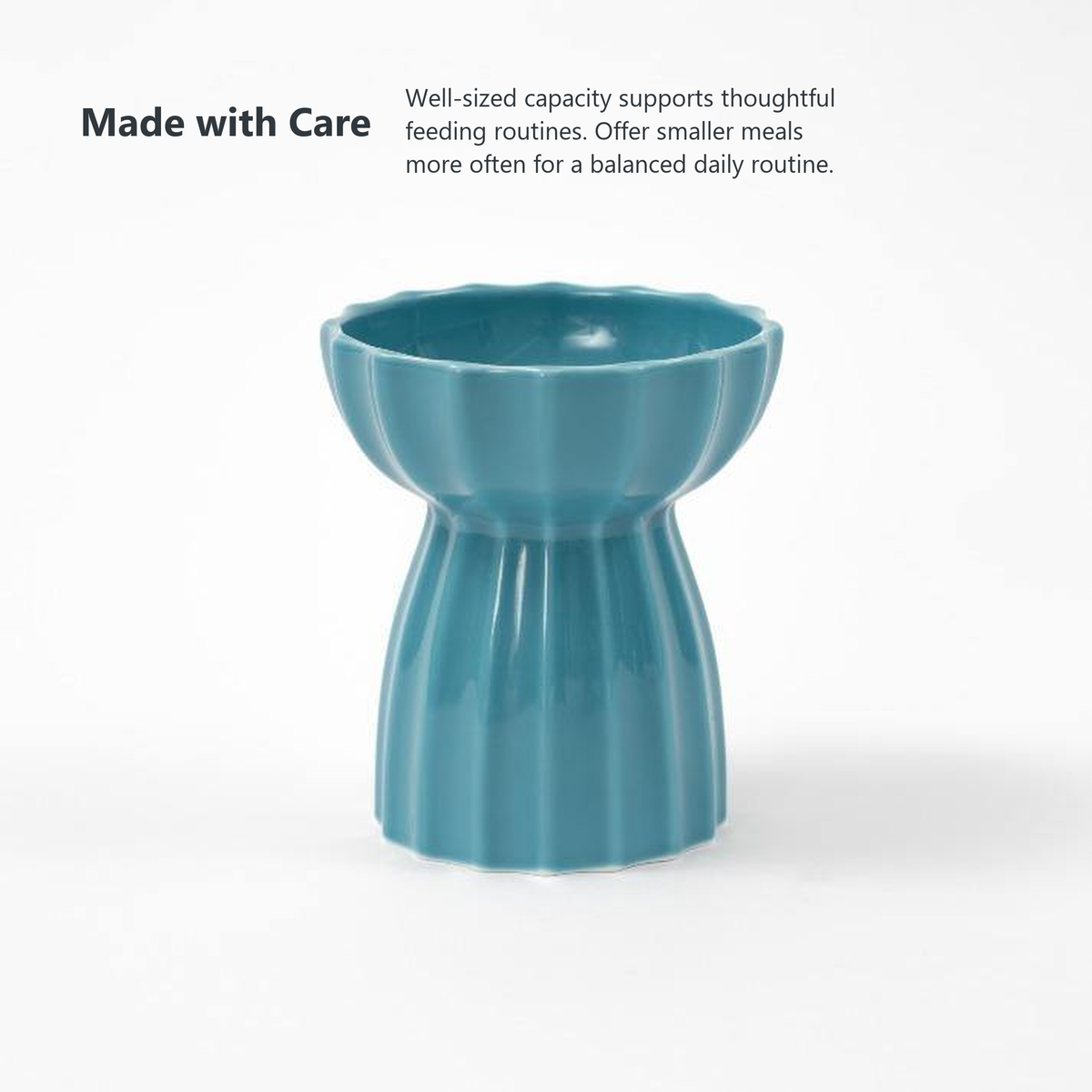 PIDAN Cherish blue cat bowl well-sized capacity thoughtful feeding routine detail