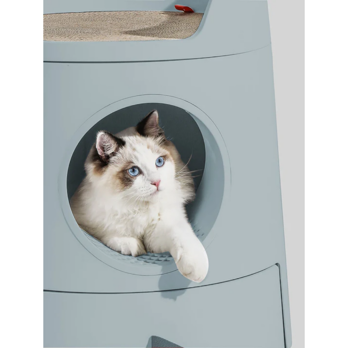 MAYITWILL Cat Castle Semi-Closed Litter Box - Morandi Green source media 6 [Gallery: Morandi Green]