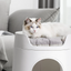 MAYITWILL Cat Castle - Soft Cushion Bed source media 6 [Gallery: Soft Cushion Bed]