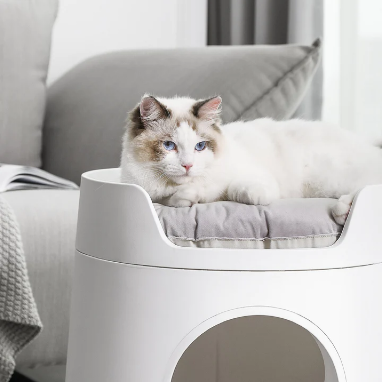 MAYITWILL Cat Castle - Soft Cushion Bed source media 6 [Gallery: Soft Cushion Bed]