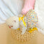 Effective-expanded lifestyle image 6 for Monin & B1GGERFISH floral pet dress