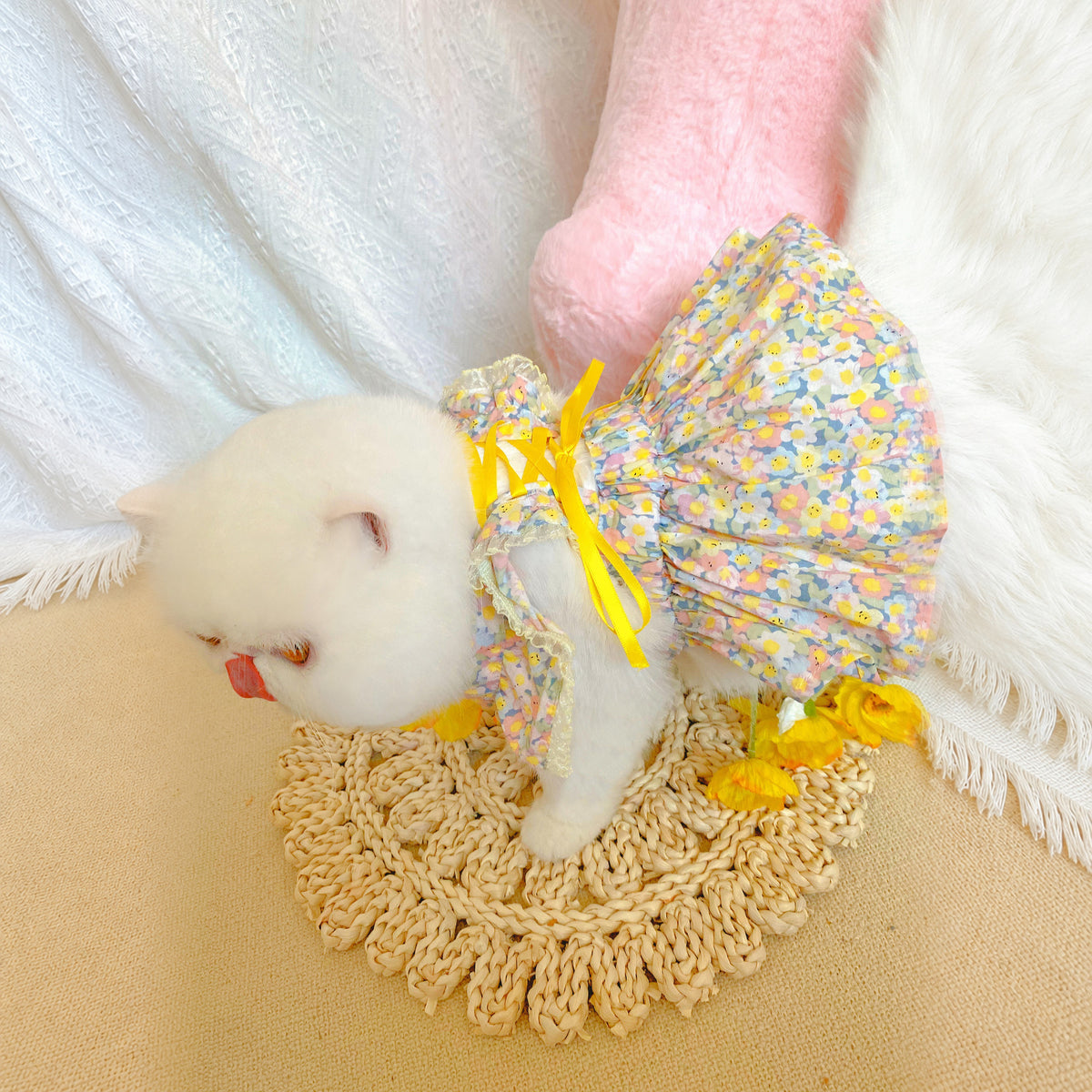 Effective-expanded lifestyle image 6 for Monin & B1GGERFISH floral pet dress