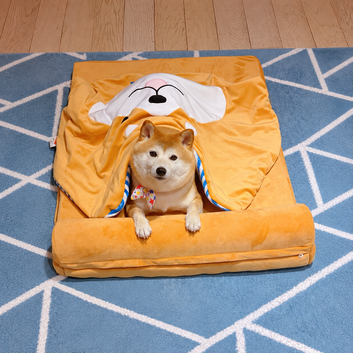 Navy Style Pet Blanket effective 1:1 continuous background outpaint revision v2, source image 6, no crop