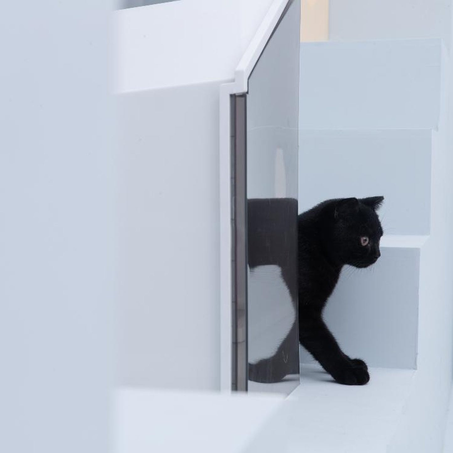 Furrytail Small House cat litter box, image 6, product detail or lifestyle view [Gallery: Shared]