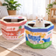Misspet Ice-cream Box Cat Scratcher - blue and pink variants in a living room with cat