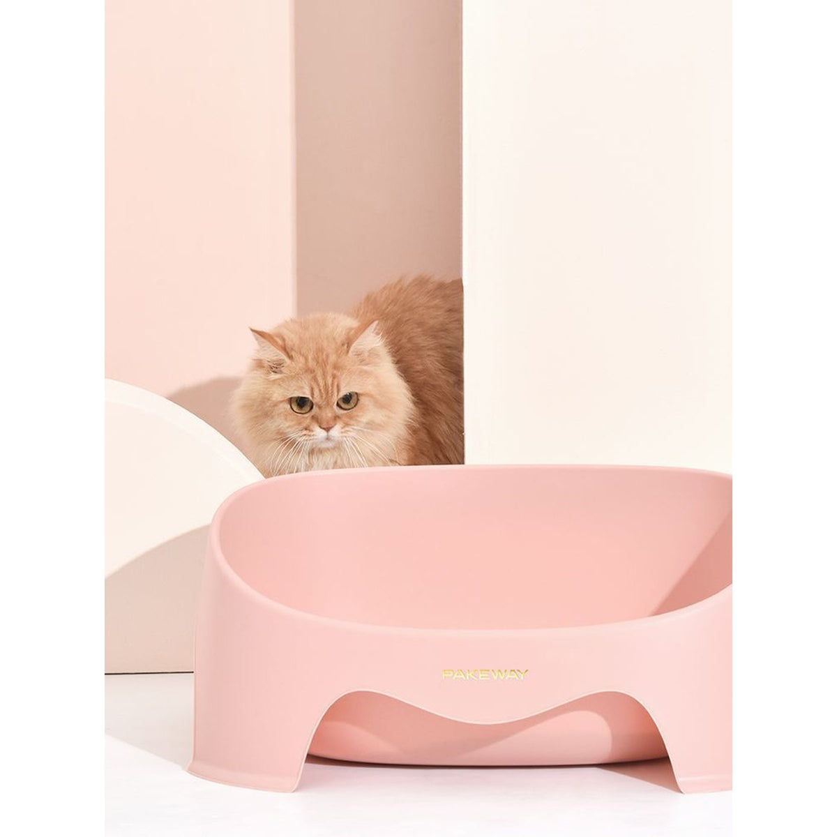 PAKEWAY Pi multifunctional cat litter tray, image 6, product detail or lifestyle view [Gallery: Shared]