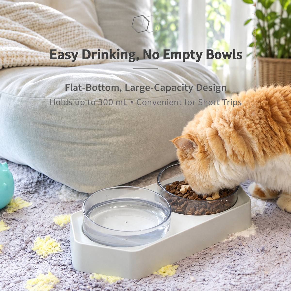 Aiwo M03 cat and dog food and water bowl in a home setting