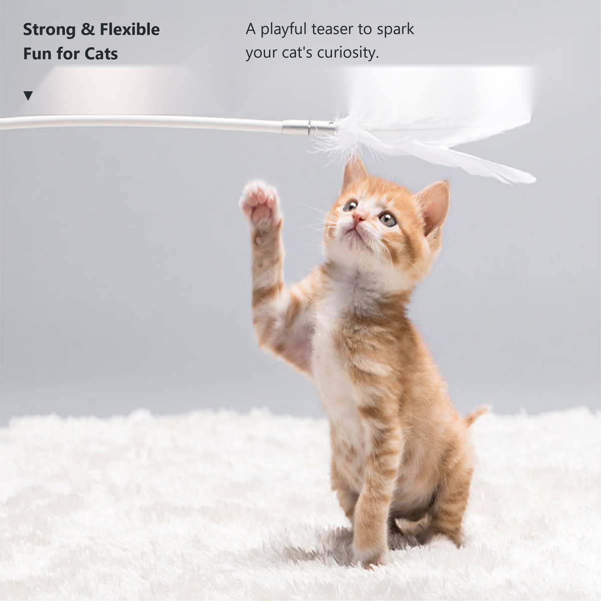 PIDAN Peacock Feather Cat Teaser Wand with Wooden Handle | English translated lifestyle detail 06 | 2048 square | v6