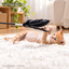 PIDAN Cat Teaser Wand | English translated square detail 06