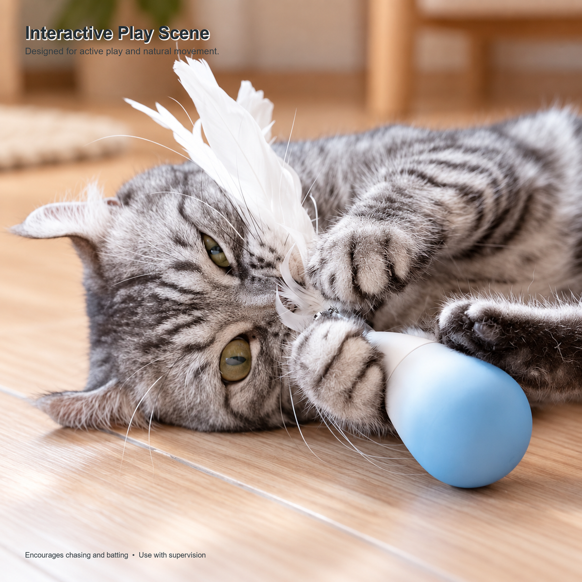 PIDAN Rolling Cat Teaser | English translated square detail 06