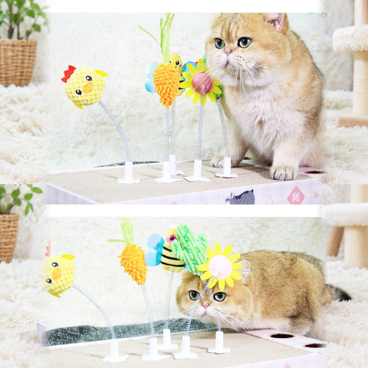 Cat using FOFOS spring toy attachments on a cat scratcher board
