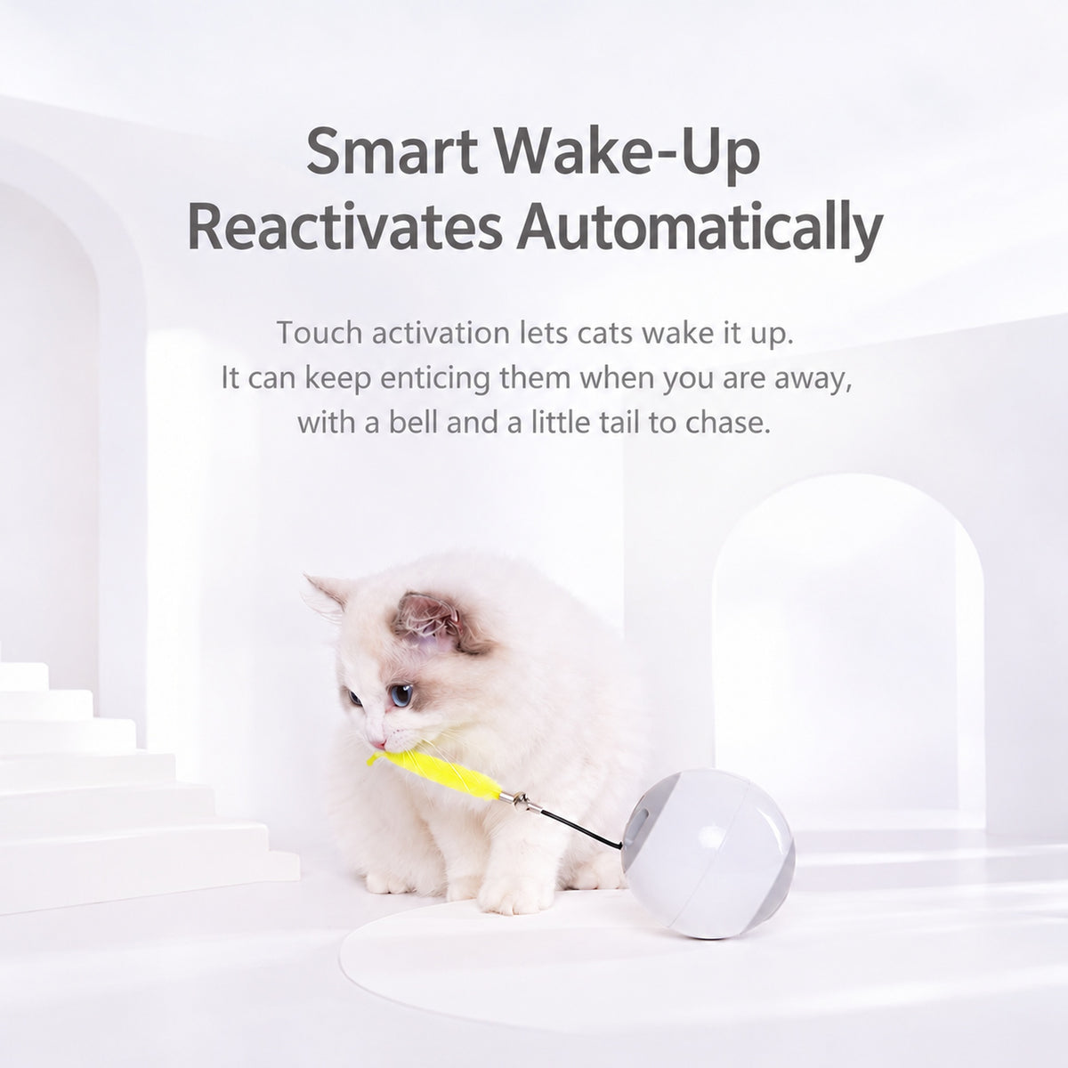 Aiwo rolling cat ball toy showing touch-activated wake-up play