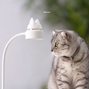 Cat-shaped rechargeable desk lamp in a cozy reading scene