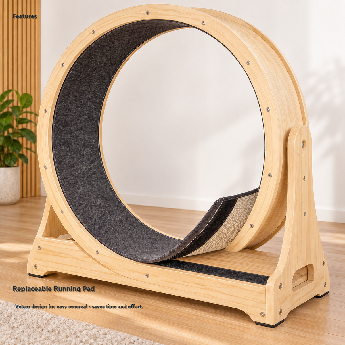 Revised | MiaoZan Cat Treadmill gallery image 07 | full text transfer | transparent overlay | square composition